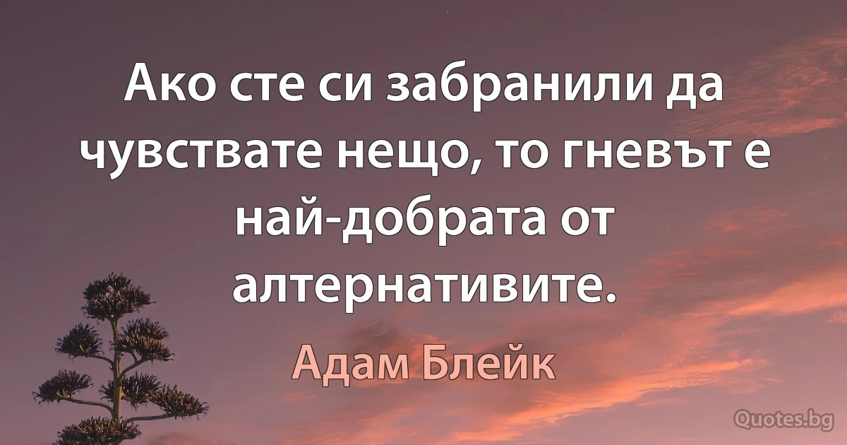 Ако сте си забранили да чувствате нещо, то гневът е най-добрата от алтернативите. (Адам Блейк)