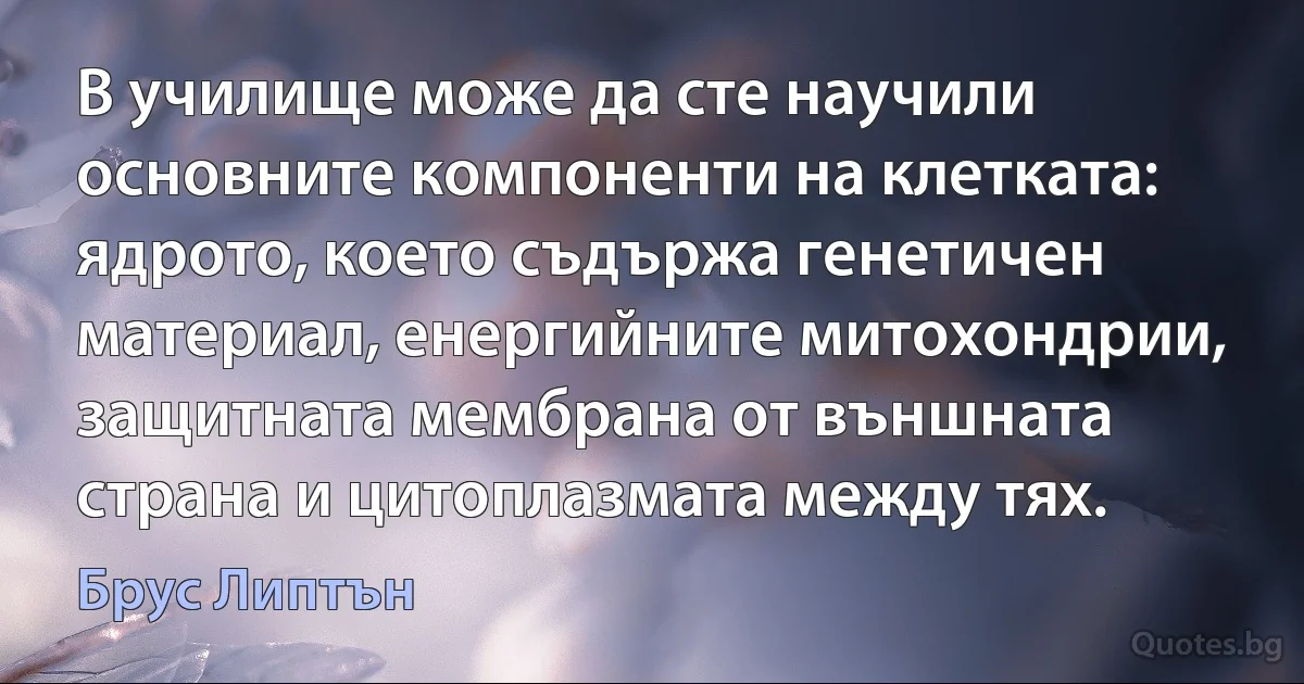 В училище може да сте научили основните компоненти на клетката: ядрото, което съдържа генетичен материал, енергийните митохондрии, защитната мембрана от външната страна и цитоплазмата между тях. (Брус Липтън)