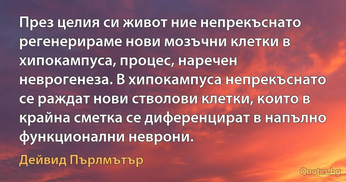 През целия си живот ние непрекъснато регенерираме нови мозъчни клетки в хипокампуса, процес, наречен неврогенеза. В хипокампуса непрекъснато се раждат нови стволови клетки, които в крайна сметка се диференцират в напълно функционални неврони. (Дейвид Пърлмътър)