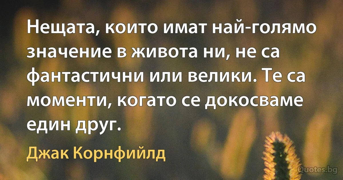 Нещата, които имат най-голямо значение в живота ни, не са фантастични или велики. Те са моменти, когато се докосваме един друг. (Джак Корнфийлд)