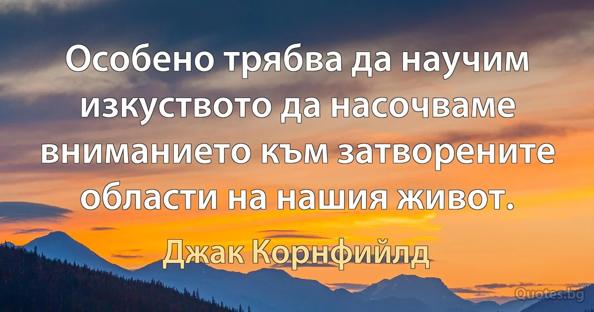 Особено трябва да научим изкуството да насочваме вниманието към затворените области на нашия живот. (Джак Корнфийлд)