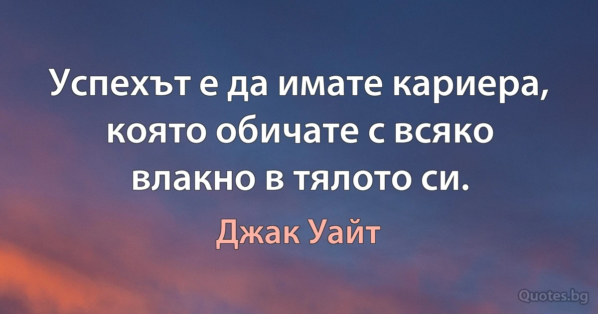 Успехът е да имате кариера, която обичате с всяко влакно в тялото си. (Джак Уайт)