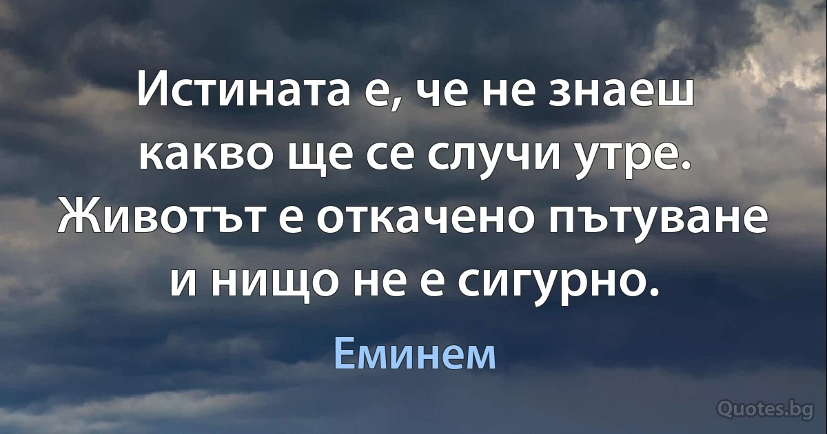 Истината е, че не знаеш какво ще се случи утре. Животът е откачено пътуване и нищо не е сигурно. (Еминем)