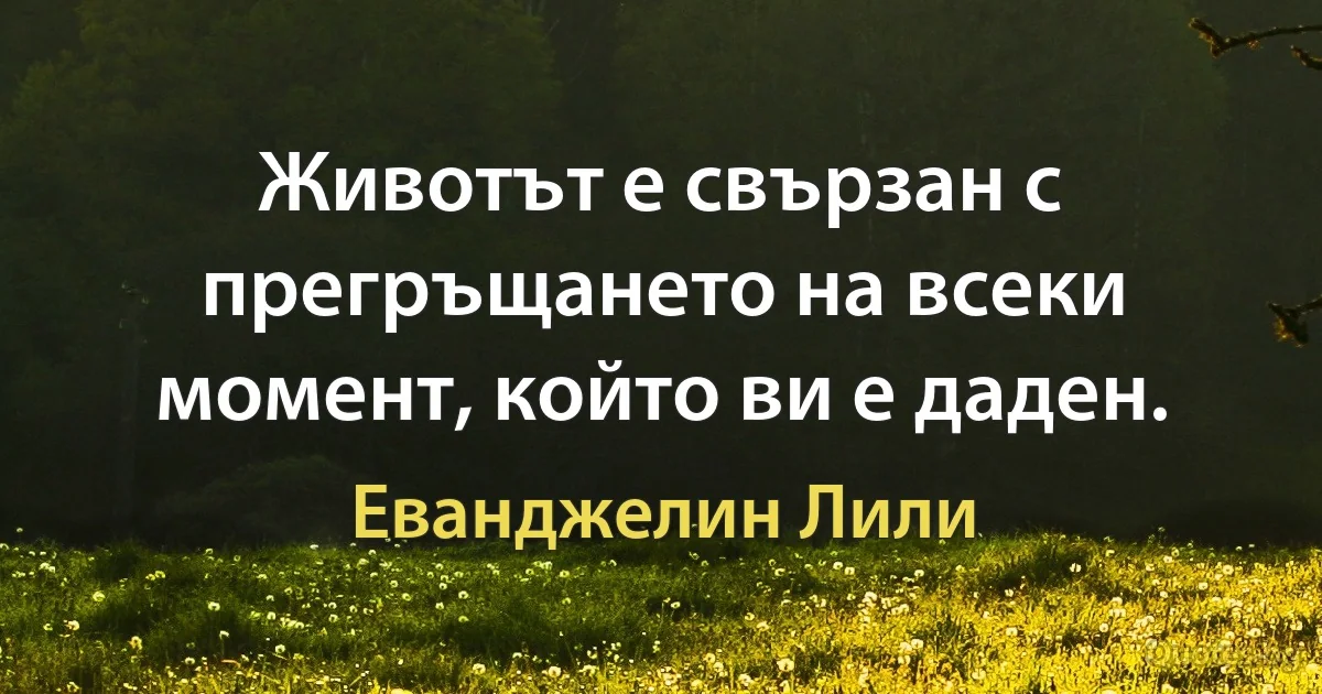 Животът е свързан с прегръщането на всеки момент, който ви е даден. (Еванджелин Лили)