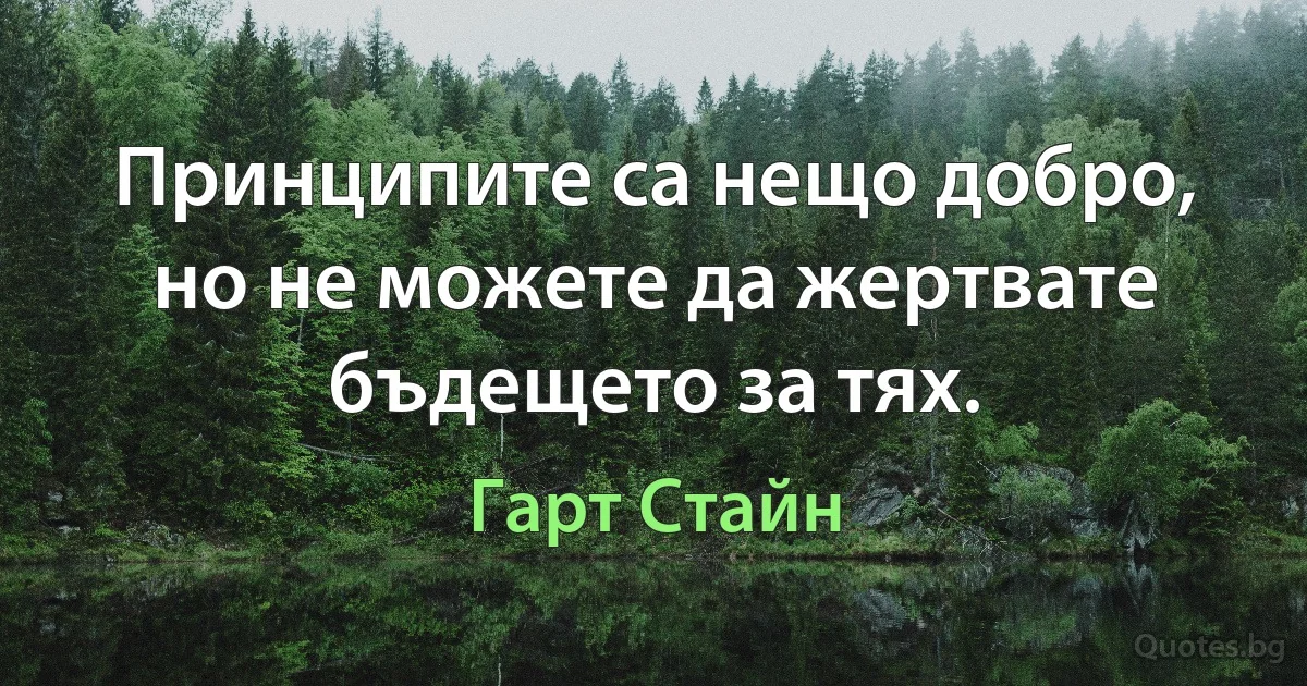 Принципите са нещо добро, но не можете да жертвате бъдещето за тях. (Гарт Стайн)