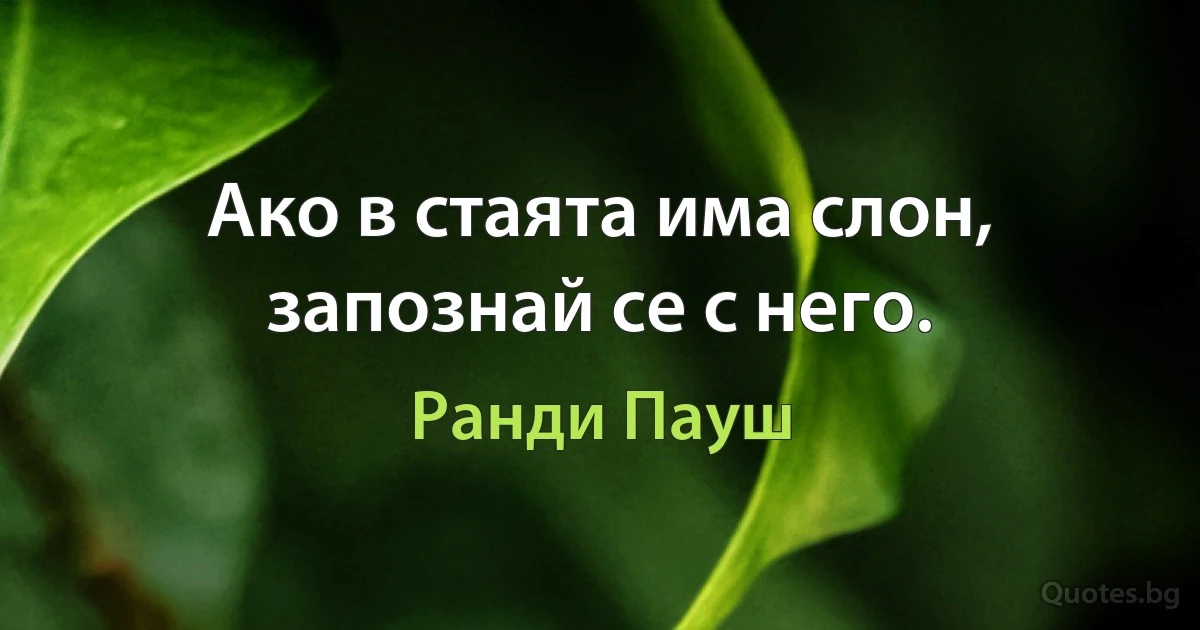 Ако в стаята има слон, запознай се с него. (Ранди Пауш)