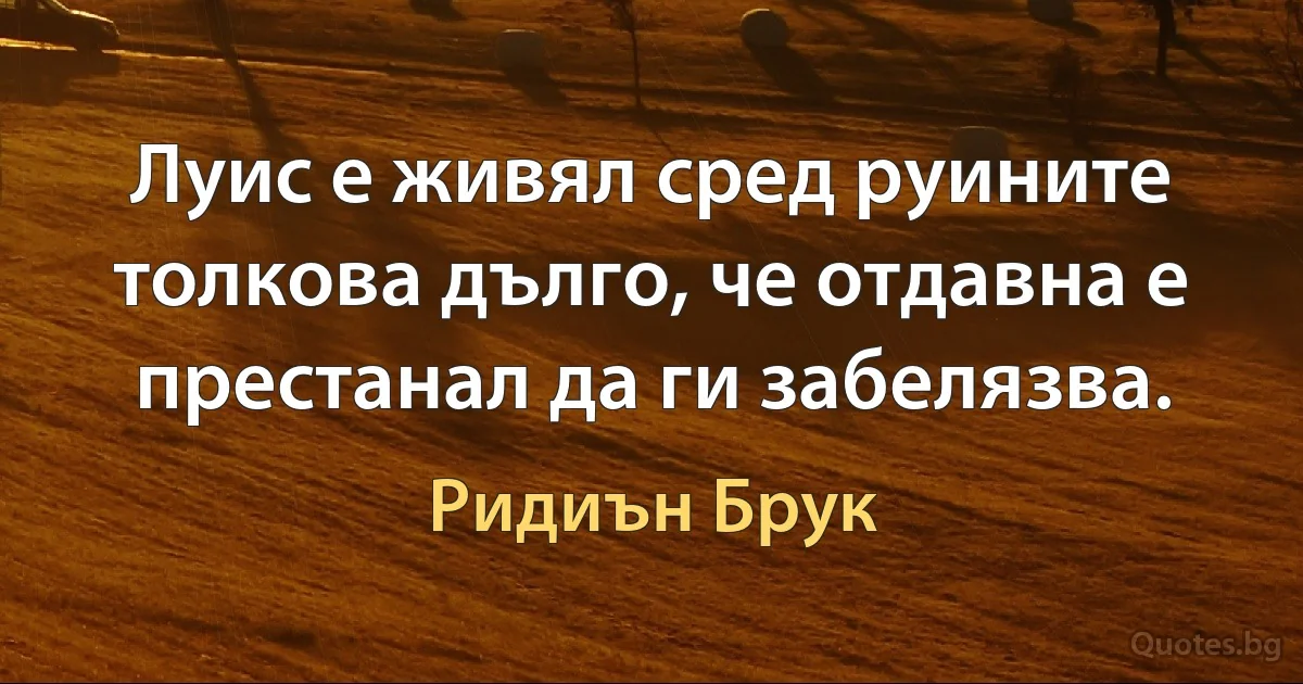 Луис е живял сред руините толкова дълго, че отдавна е престанал да ги забелязва. (Ридиън Брук)