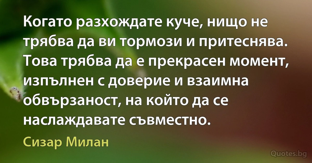 Когато разхождате куче, нищо не трябва да ви тормози и притеснява. Това трябва да е прекрасен момент, изпълнен с доверие и взаимна обвързаност, на който да се наслаждавате съвместно. (Сизар Милан)