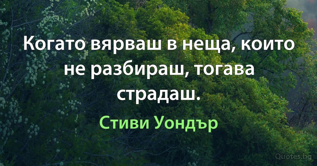 Когато вярваш в неща, които не разбираш, тогава страдаш. (Стиви Уондър)