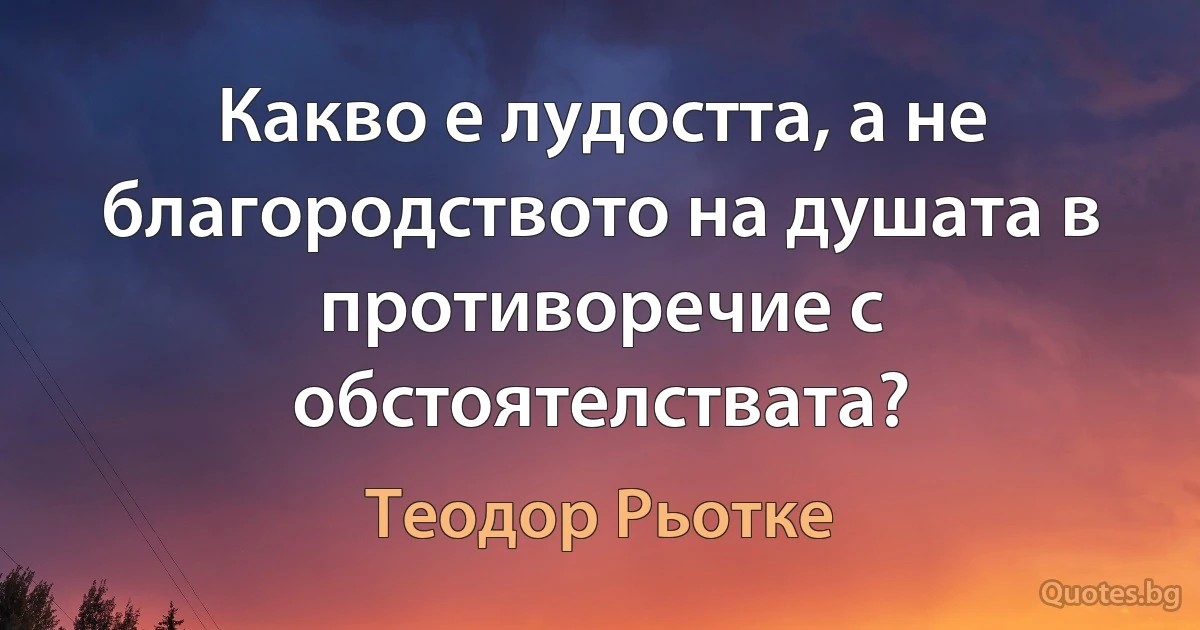 Какво е лудостта, а не благородството на душата в противоречие с обстоятелствата? (Теодор Рьотке)