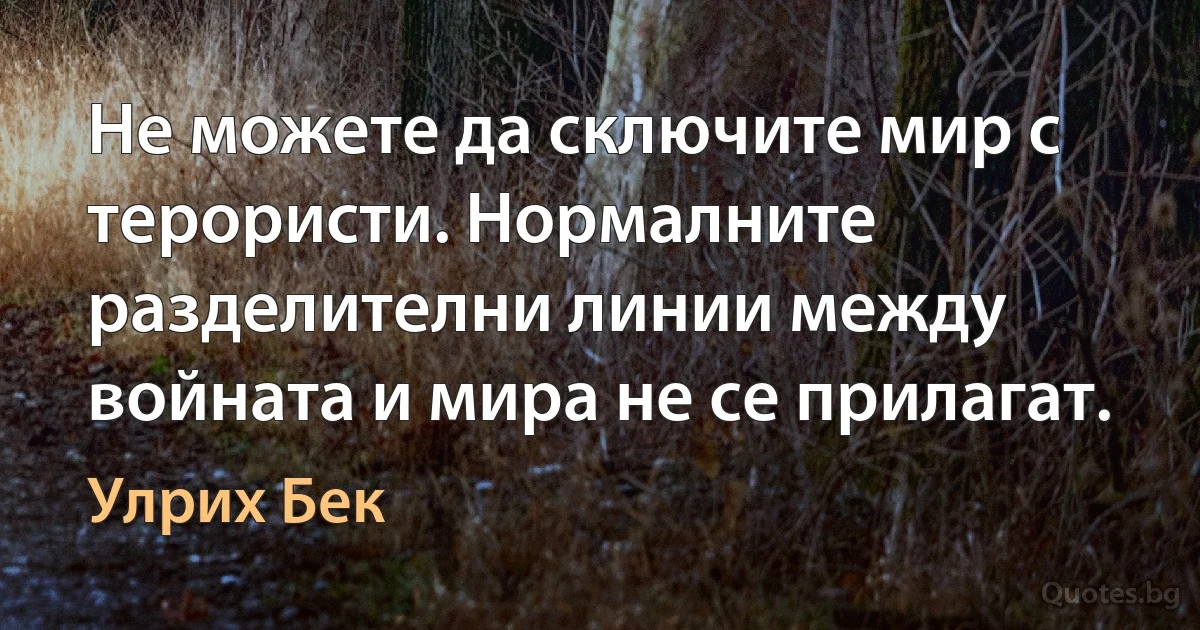 Не можете да сключите мир с терористи. Нормалните разделителни линии между войната и мира не се прилагат. (Улрих Бек)