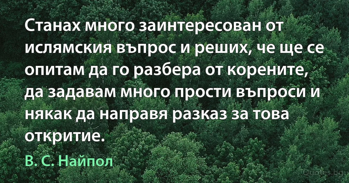 Станах много заинтересован от ислямския въпрос и реших, че ще се опитам да го разбера от корените, да задавам много прости въпроси и някак да направя разказ за това откритие. (В. С. Найпол)