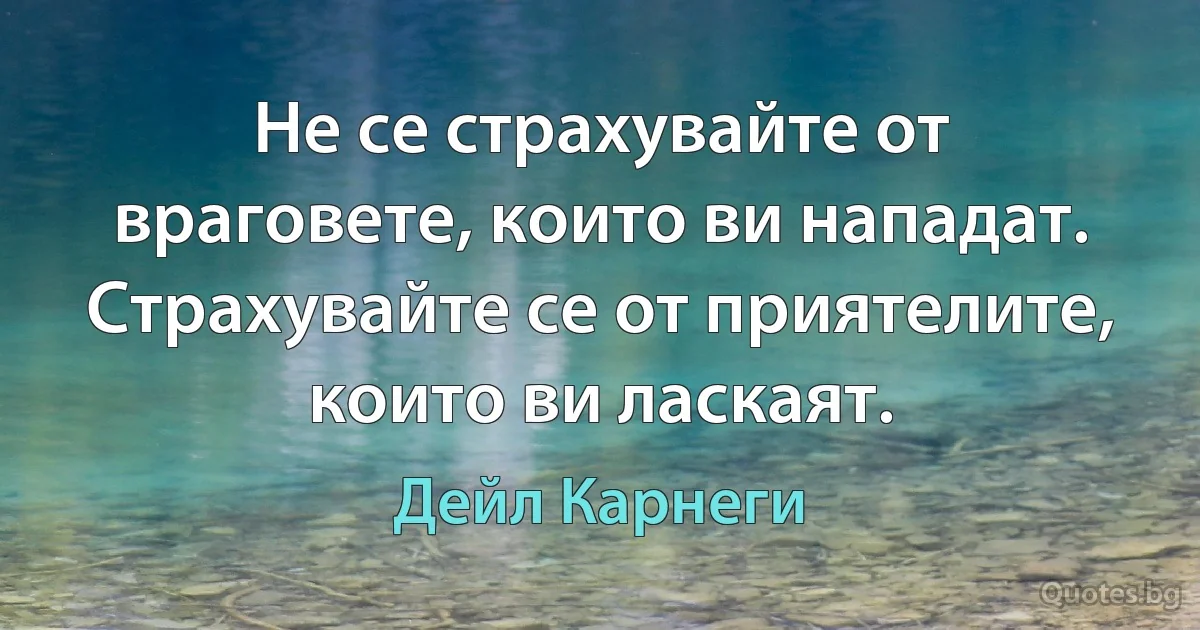 Не се страхувайте от враговете, които ви нападат. Страхувайте се от приятелите, които ви ласкаят. (Дейл Карнеги)