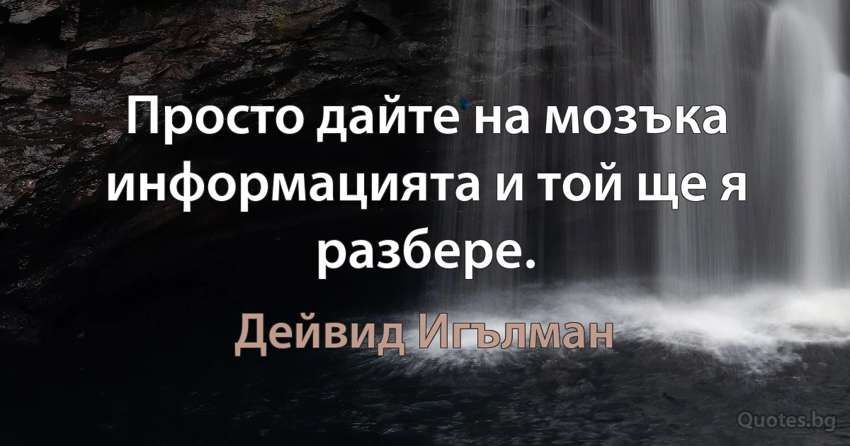 Просто дайте на мозъка информацията и той ще я разбере. (Дейвид Игълман)