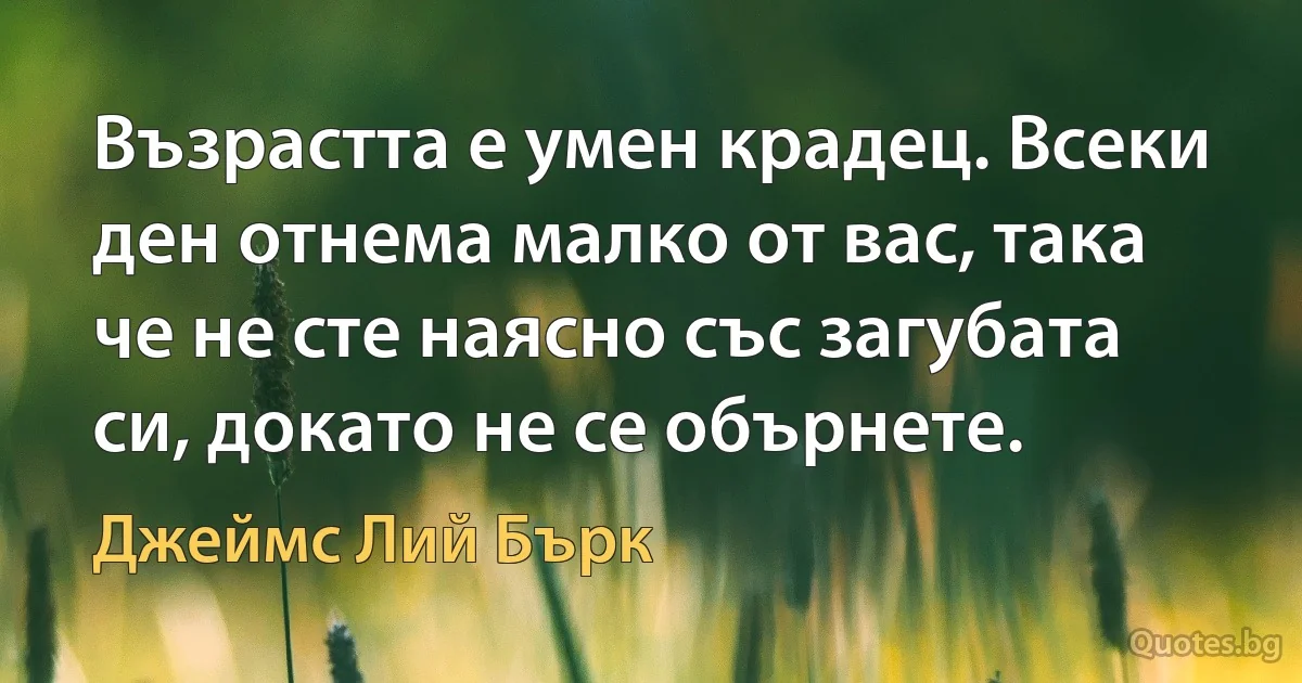 Възрастта е умен крадец. Всеки ден отнема малко от вас, така че не сте наясно със загубата си, докато не се обърнете. (Джеймс Лий Бърк)