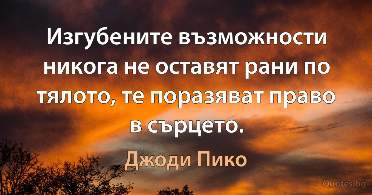 Изгубените възможности никога не оставят рани по тялото, те поразяват право в сърцето. (Джоди Пико)