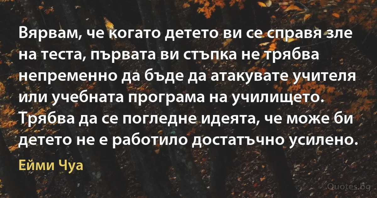 Вярвам, че когато детето ви се справя зле на теста, първата ви стъпка не трябва непременно да бъде да атакувате учителя или учебната програма на училището. Трябва да се погледне идеята, че може би детето не е работило достатъчно усилено. (Ейми Чуа)