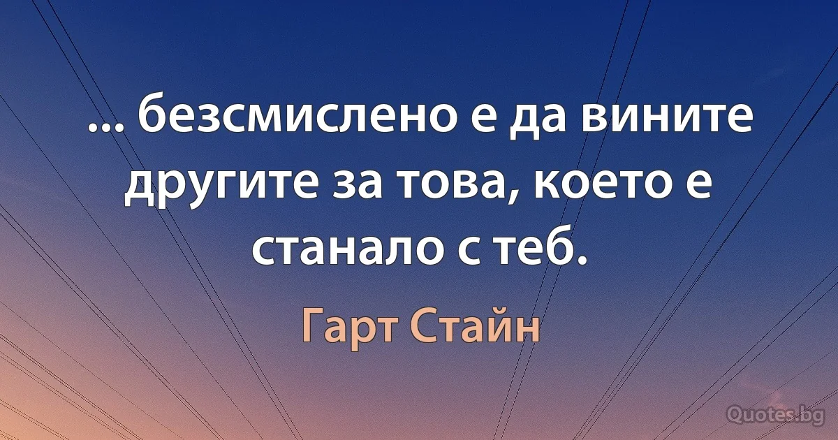 ... безсмислено е да вините другите за това, което е станало с теб. (Гарт Стайн)