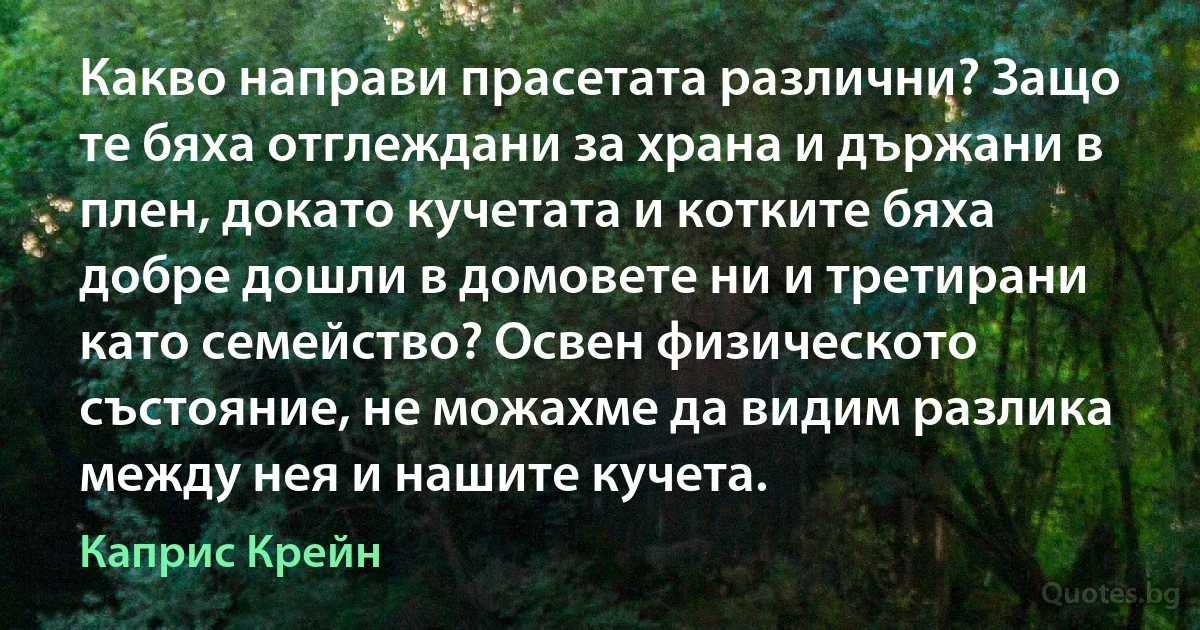 Какво направи прасетата различни? Защо те бяха отглеждани за храна и държани в плен, докато кучетата и котките бяха добре дошли в домовете ни и третирани като семейство? Освен физическото състояние, не можахме да видим разлика между нея и нашите кучета. (Каприс Крейн)