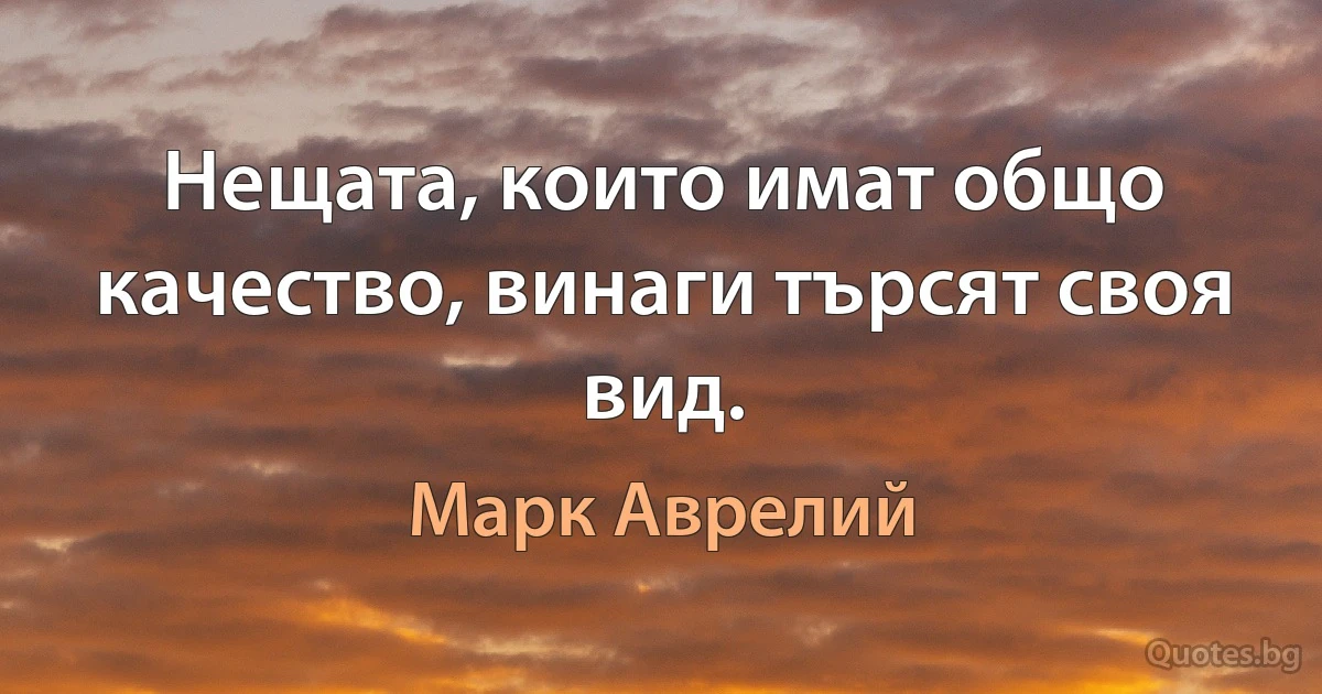 Нещата, които имат общо качество, винаги търсят своя вид. (Марк Аврелий)