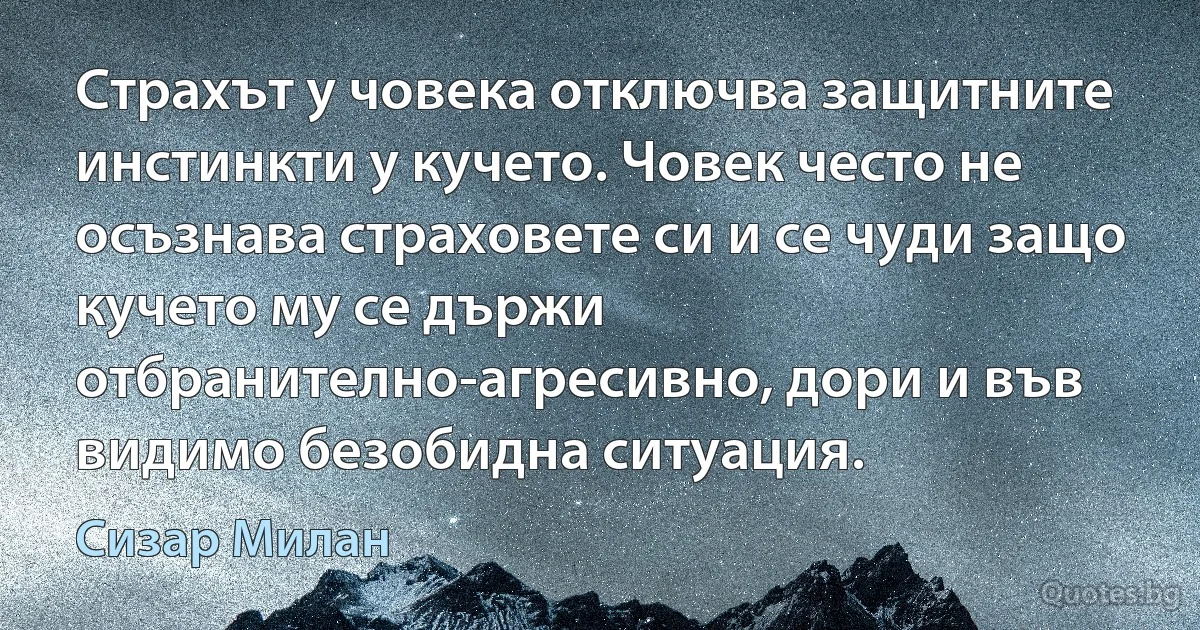 Страхът у човека отключва защитните инстинкти у кучето. Човек често не осъзнава страховете си и се чуди защо кучето му се държи отбранително-агресивно, дори и във видимо безобидна ситуация. (Сизар Милан)