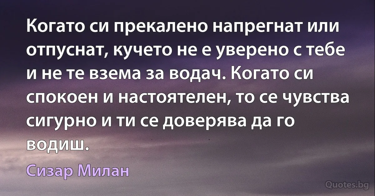 Когато си прекалено напрегнат или отпуснат, кучето не е уверено с тебе и не те взема за водач. Когато си спокоен и настоятелен, то се чувства сигурно и ти се доверява да го водиш. (Сизар Милан)