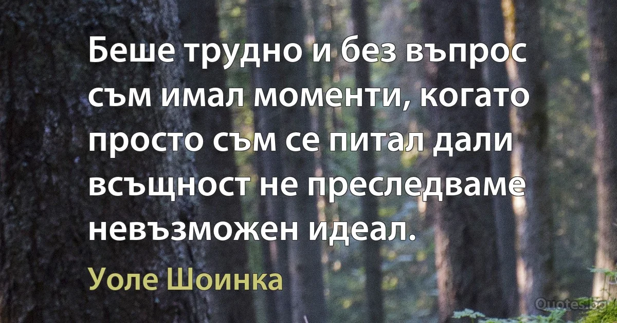 Беше трудно и без въпрос съм имал моменти, когато просто съм се питал дали всъщност не преследваме невъзможен идеал. (Уоле Шоинка)