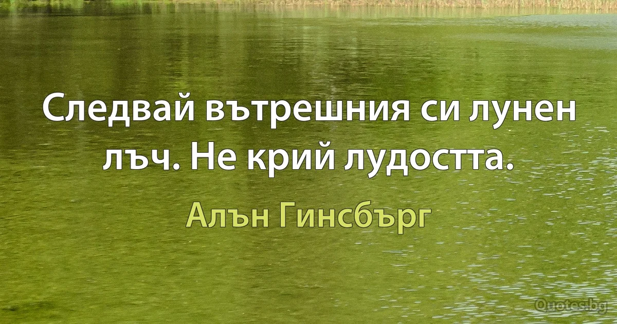 Следвай вътрешния си лунен лъч. Не крий лудостта. (Алън Гинсбърг)