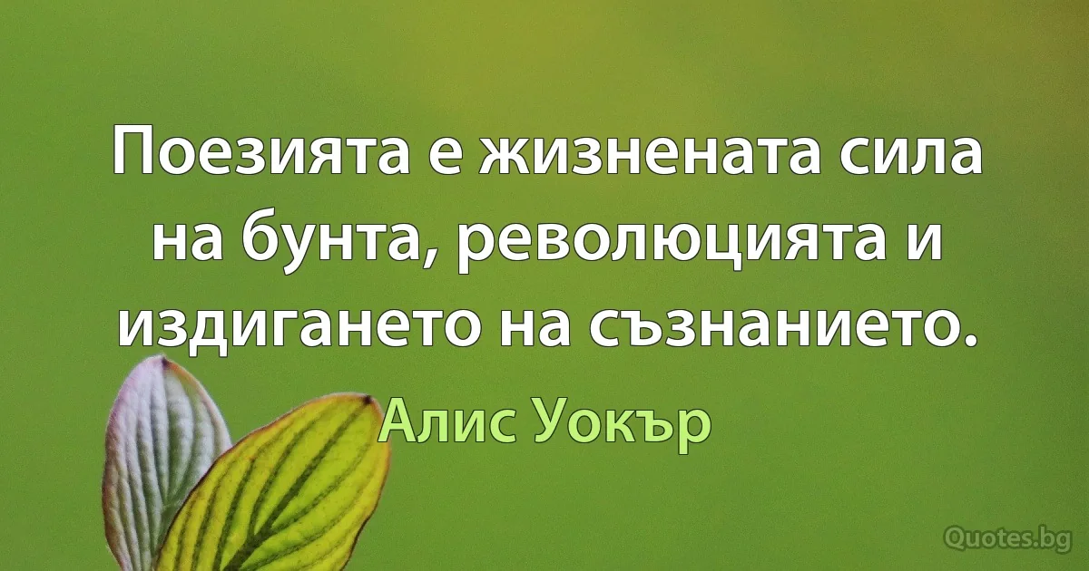 Поезията е жизнената сила на бунта, революцията и издигането на съзнанието. (Алис Уокър)