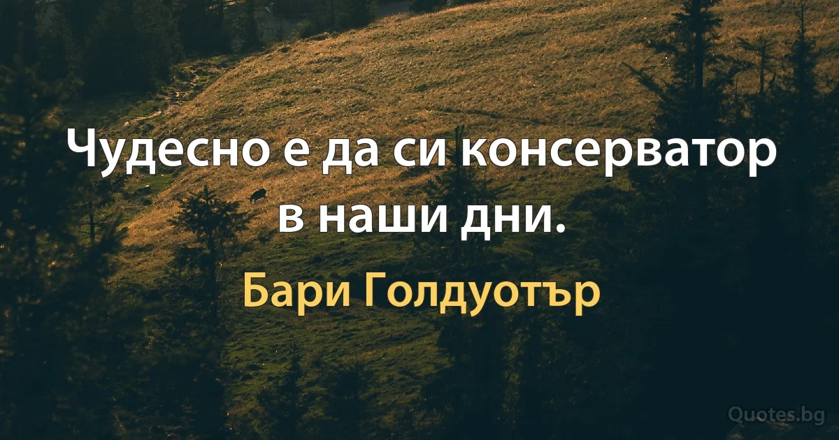 Чудесно е да си консерватор в наши дни. (Бари Голдуотър)