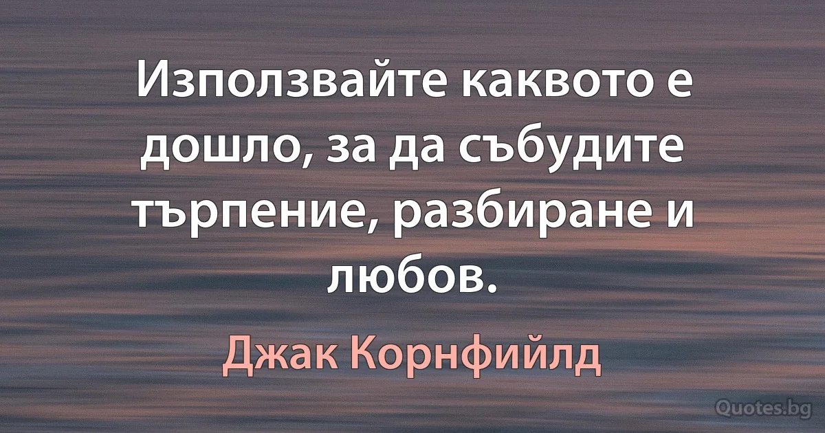 Използвайте каквото е дошло, за да събудите търпение, разбиране и любов. (Джак Корнфийлд)