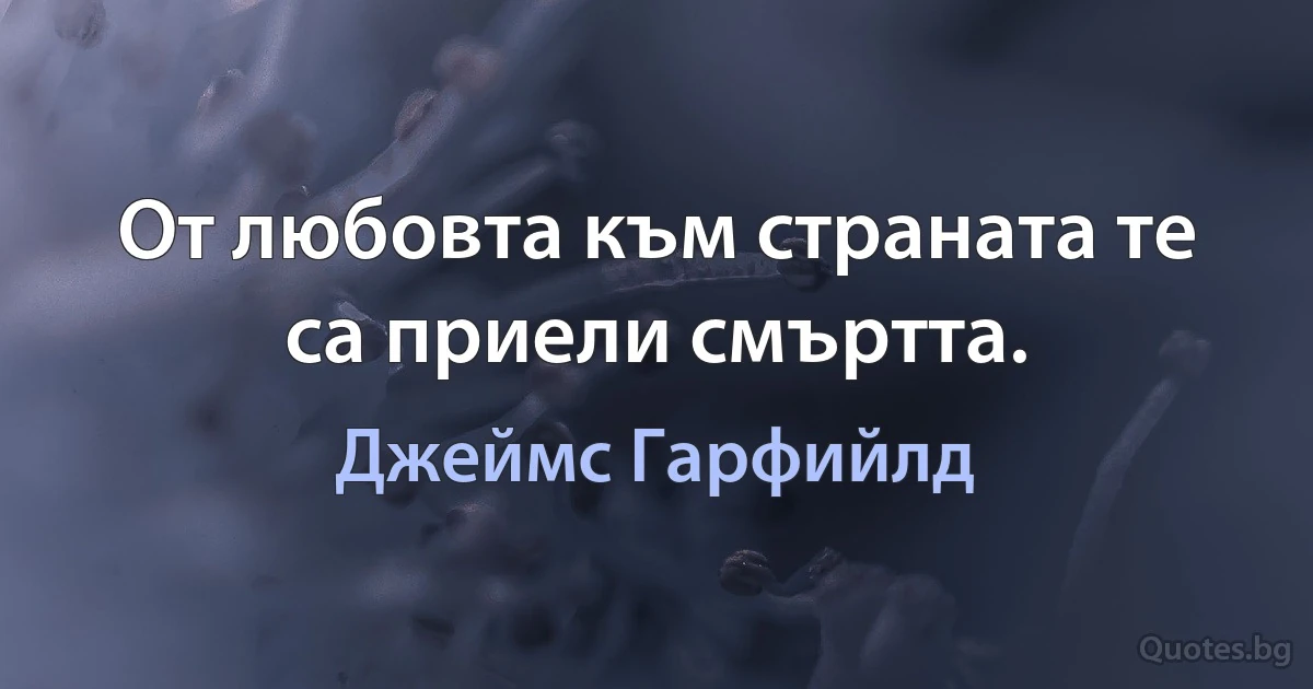 От любовта към страната те са приели смъртта. (Джеймс Гарфийлд)