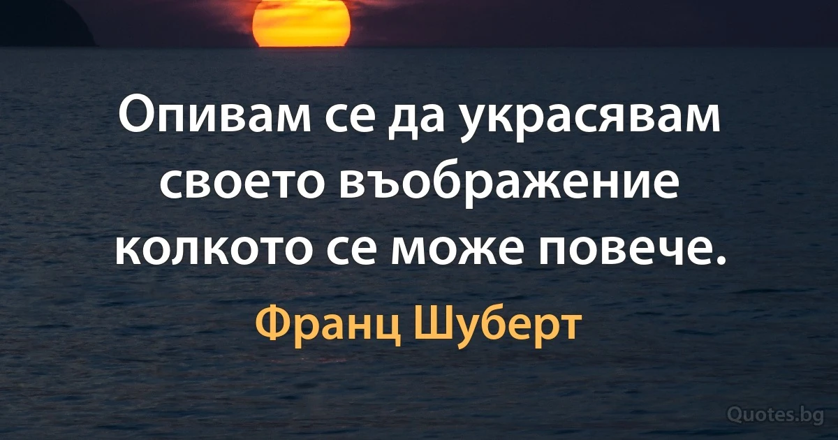 Опивам се да украсявам своето въображение колкото се може повече. (Франц Шуберт)