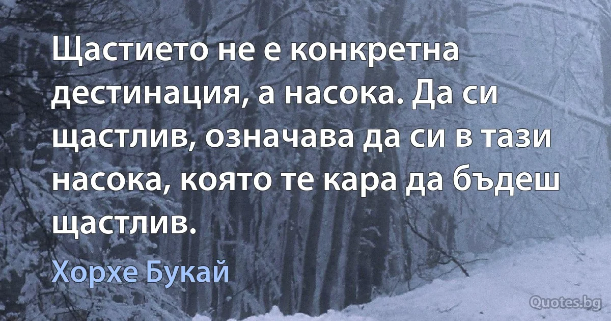 Щастието не е конкретна дестинация, а насока. Да си щастлив, означава да си в тази насока, която те кара да бъдеш щастлив. (Хорхе Букай)