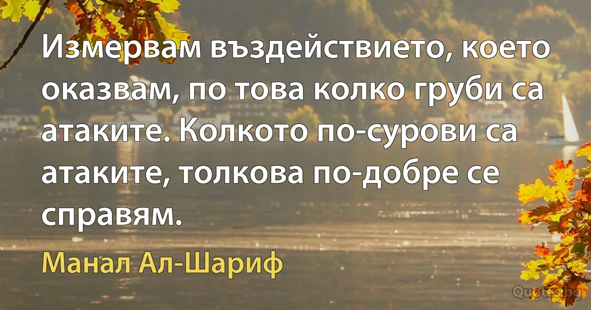 Измервам въздействието, което оказвам, по това колко груби са атаките. Колкото по-сурови са атаките, толкова по-добре се справям. (Манал Ал-Шариф)