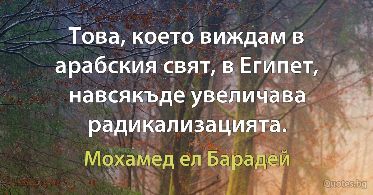 Това, което виждам в арабския свят, в Египет, навсякъде увеличава радикализацията. (Мохамед ел Барадей)