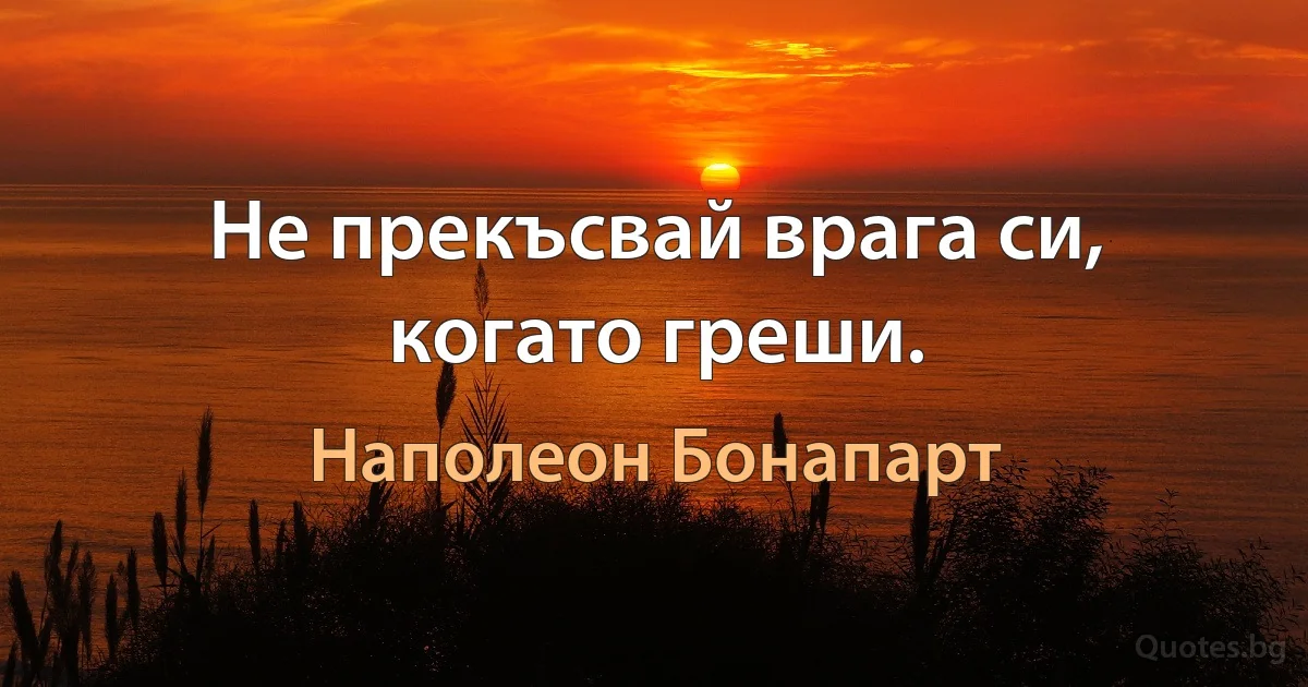 Не прекъсвай врага си, когато греши. (Наполеон Бонапарт)