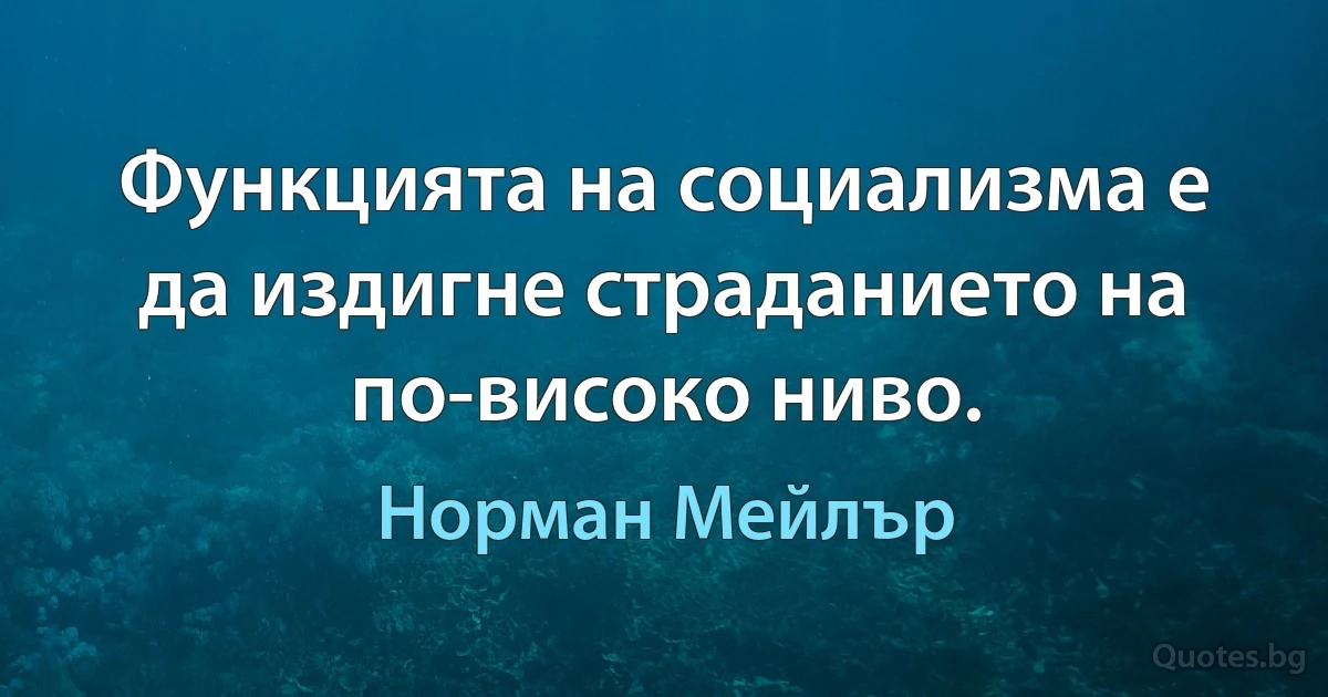 Функцията на социализма е да издигне страданието на по-високо ниво. (Норман Мейлър)