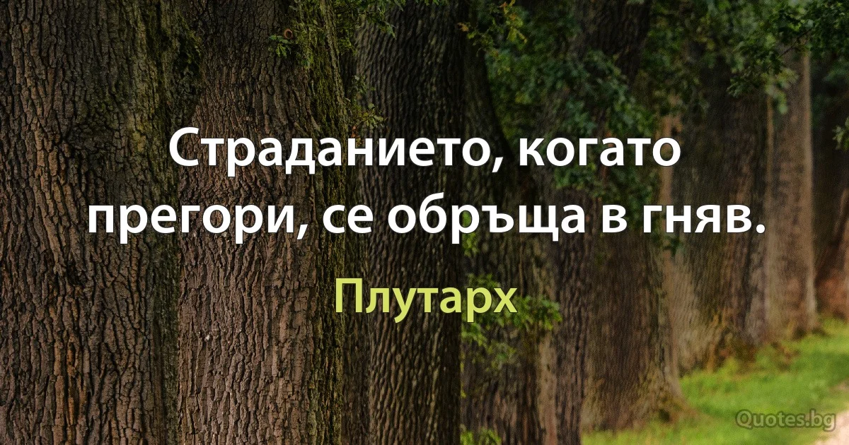 Страданието, когато прегори, се обръща в гняв. (Плутарх)