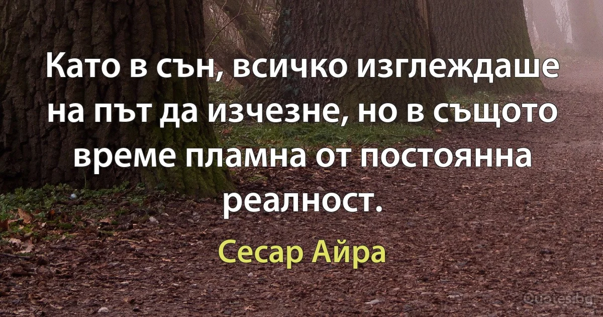 Като в сън, всичко изглеждаше на път да изчезне, но в същото време пламна от постоянна реалност. (Сесар Айра)