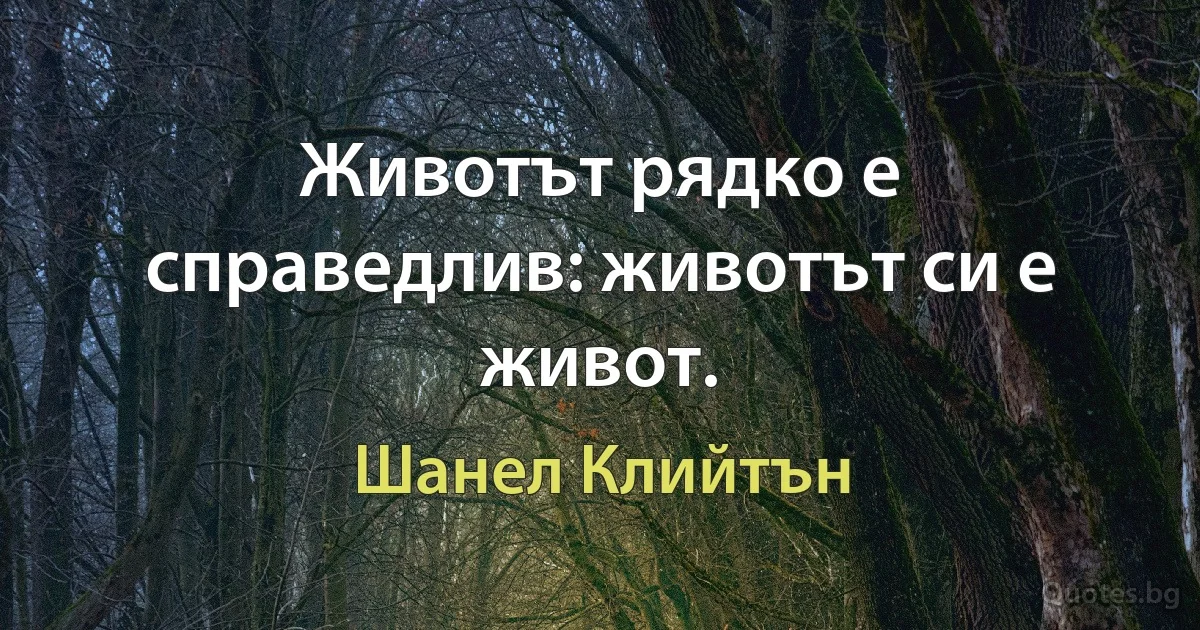 Животът рядко е справедлив: животът си е живот. (Шанел Клийтън)