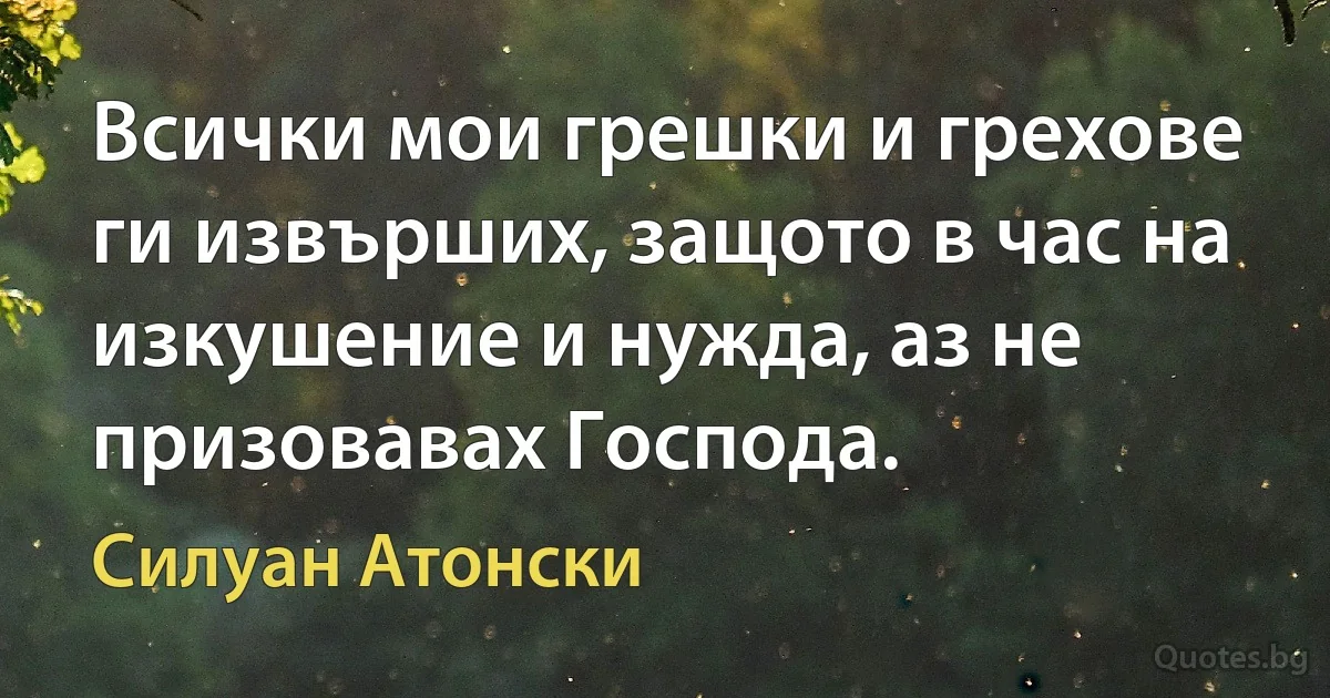 Всички мои грешки и грехове ги извърших, защото в час на изкушение и нужда, аз не призовавах Господа. (Силуан Атонски)