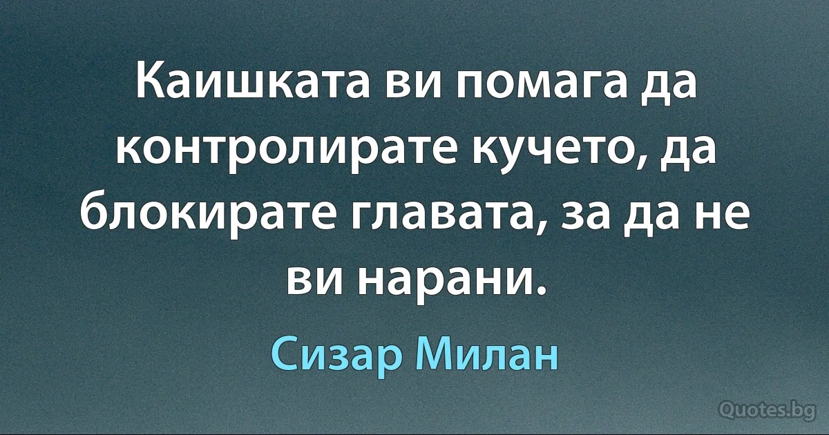 Каишката ви помага да контролирате кучето, да блокирате главата, за да не ви нарани. (Сизар Милан)