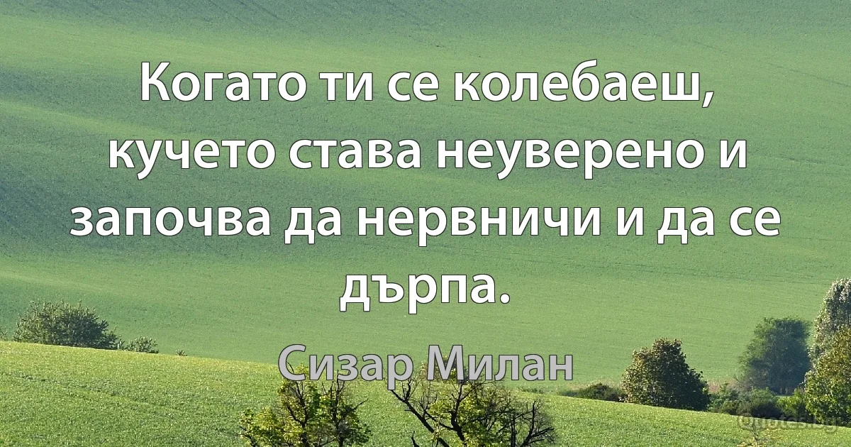 Когато ти се колебаеш, кучето става неуверено и започва да нервничи и да се дърпа. (Сизар Милан)