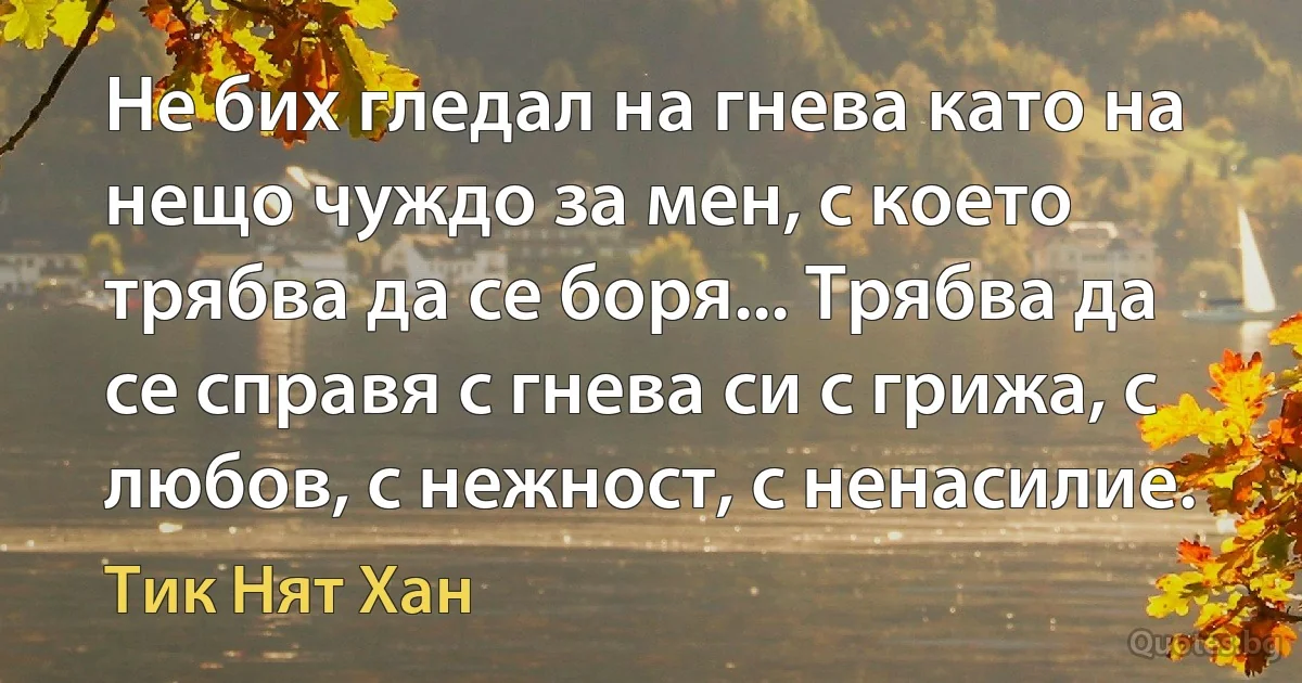 Не бих гледал на гнева като на нещо чуждо за мен, с което трябва да се боря... Трябва да се справя с гнева си с грижа, с любов, с нежност, с ненасилие. (Тик Нят Хан)