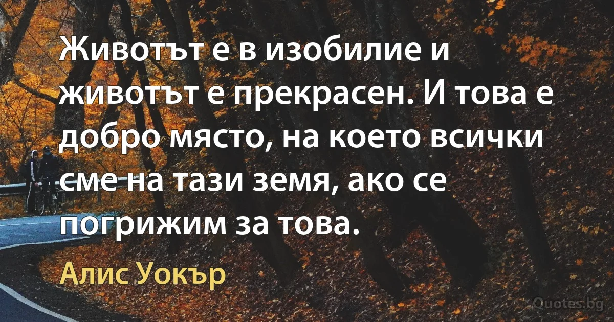 Животът е в изобилие и животът е прекрасен. И това е добро място, на което всички сме на тази земя, ако се погрижим за това. (Алис Уокър)