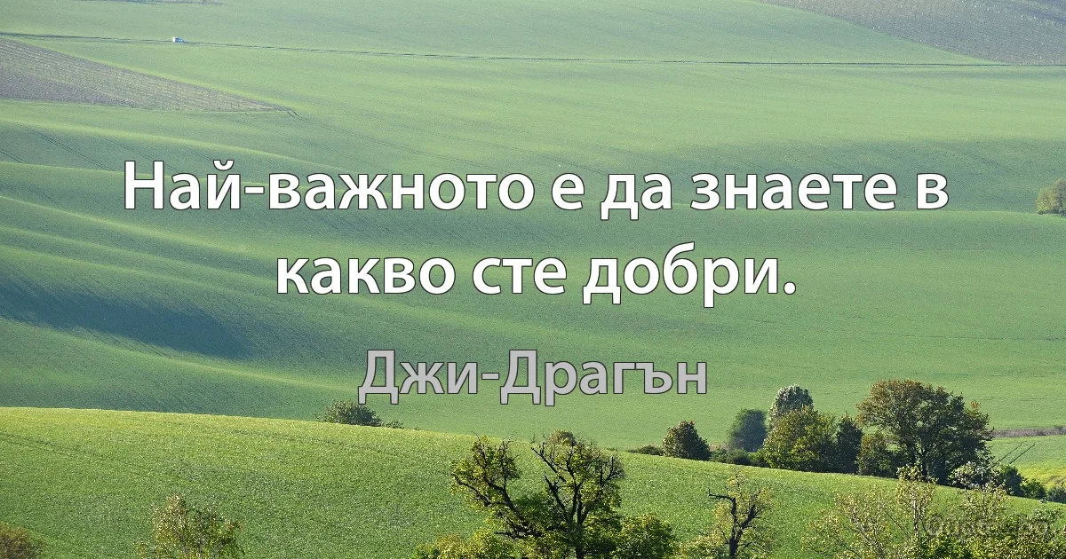 Най-важното е да знаете в какво сте добри. (Джи-Драгън)