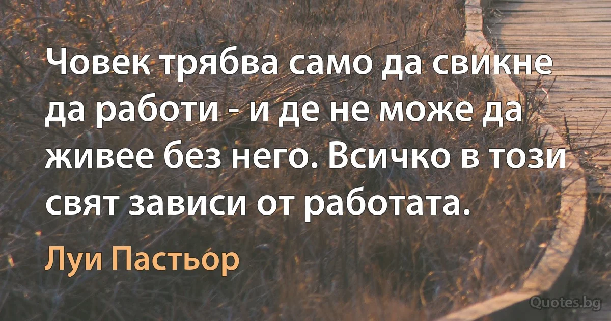 Човек трябва само да свикне да работи - и де не може да живее без него. Всичко в този свят зависи от работата. (Луи Пастьор)