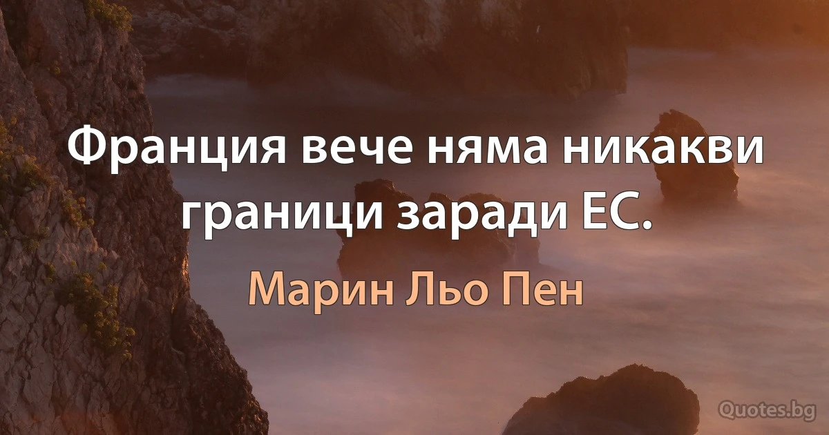 Франция вече няма никакви граници заради ЕС. (Марин Льо Пен)