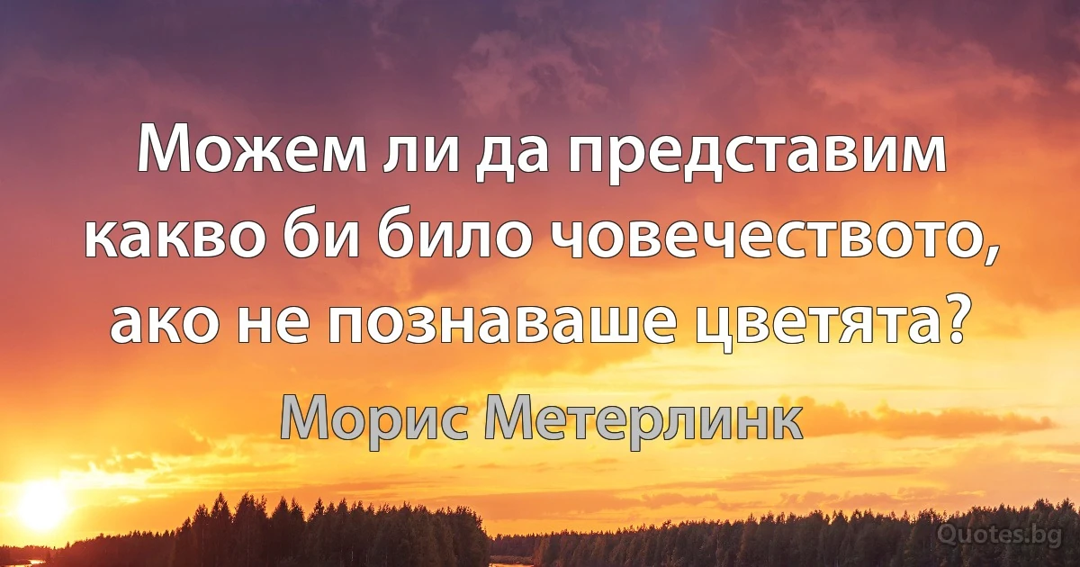 Можем ли да представим какво би било човечеството, ако не познаваше цветята? (Морис Метерлинк)